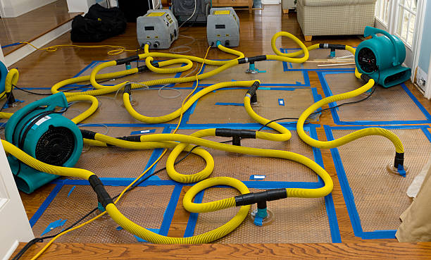Professional Crawl Space Water Removal technician working in Alplaus, NY